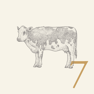 7