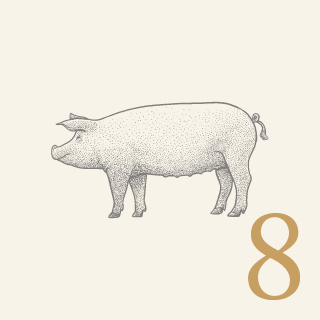 8