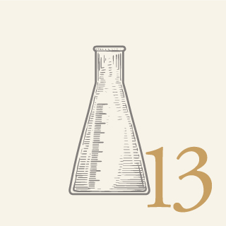13